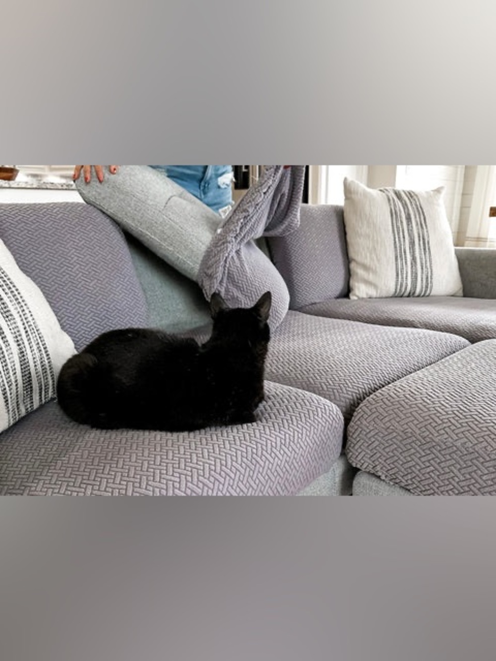 NOLAN INTERIOR “Magic Sofa Seat Cover” Classic Jade White, Pet-Proof Slipcover - Picture 5 of 15